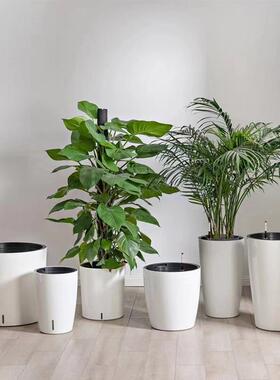 人大号懒自吸水花盆自吸盆免浇水双结构落储水室内客层TPB厅地口