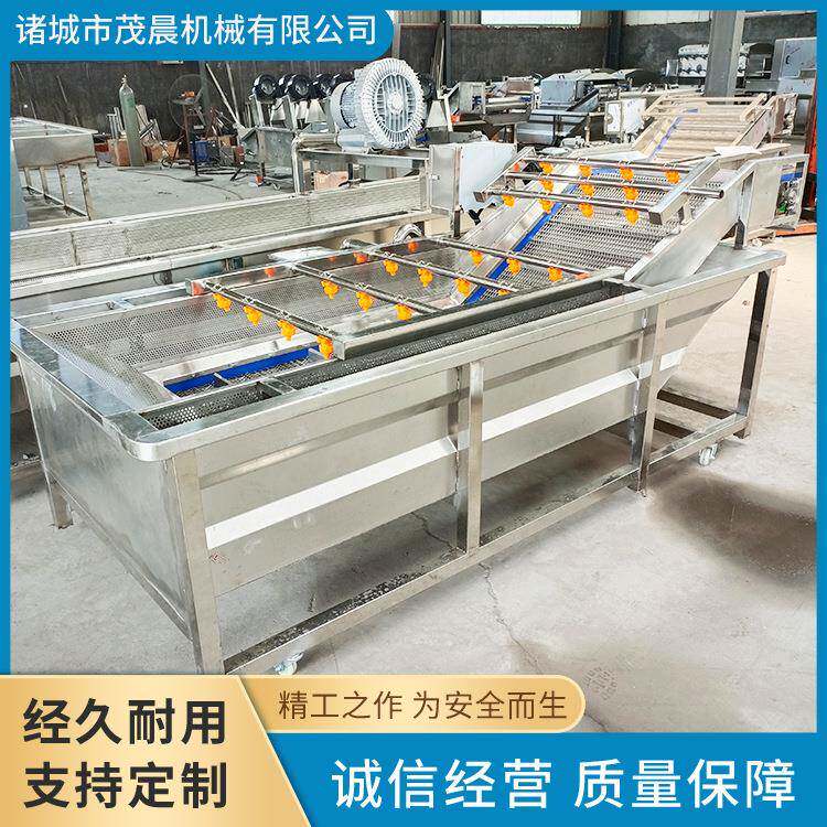 气泡果蔬清洗机半成品预制菜加工设备白菜冬笋海带蔬菜清洗机