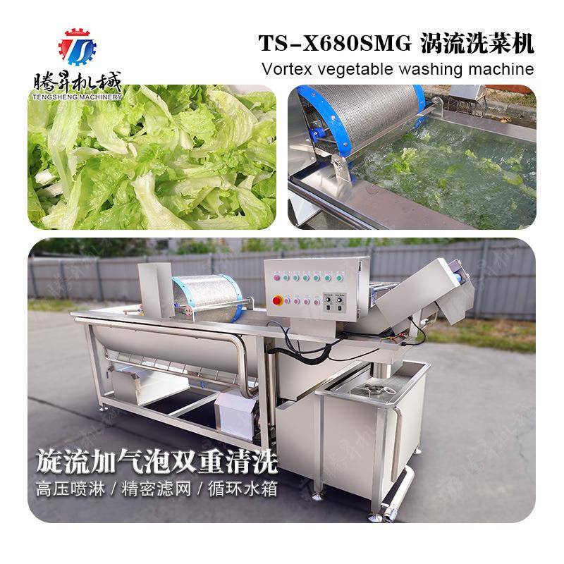 大型商用果蔬洗菜机涡流水自动洗菜机青菜清洗机
