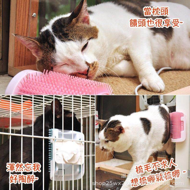 猫咪墙角固定脱毛按摩梳子蹭痒器抓痒器玩具宠物用品抓墙耐用迷你,宠物/宠物食品及用品,宠物智能玩具,淘宝优惠券,粉丝福利购,淘宝优惠卷