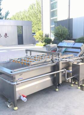 304不锈钢果蔬净菜加工设备 辣椒白菜红枣全自动鼓泡清洗流水线