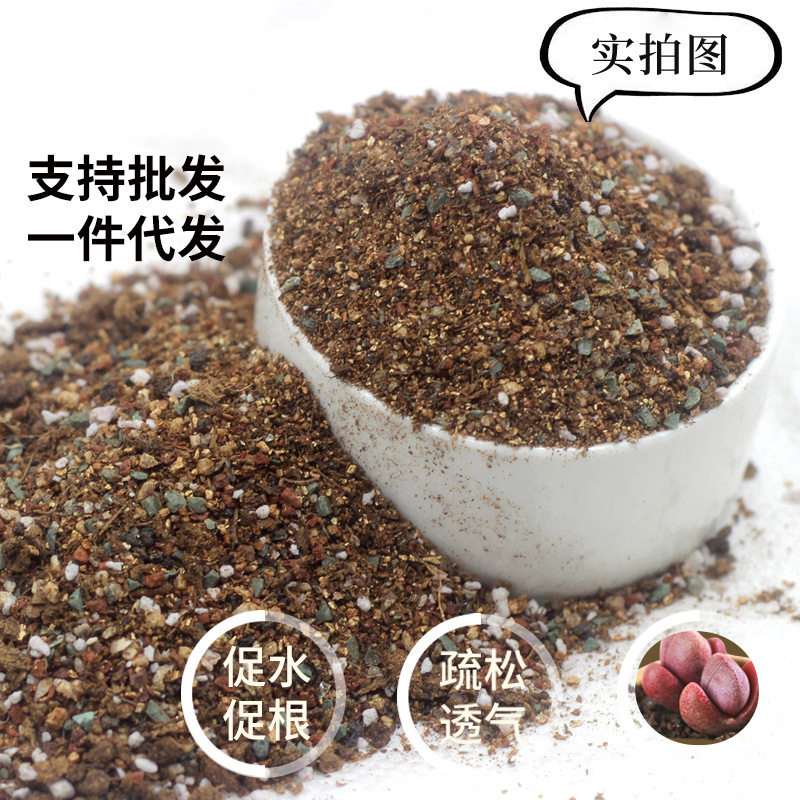 厂家批发发生石花番杏栽培基质