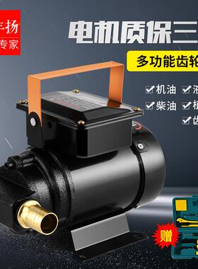 易丰扬电动齿轮泵12V24V220V修理厂机油液压油抽油泵抽油机加油器