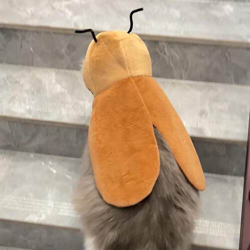 蟑螂宠物头套猫咪披风帽子cos服搞怪可调节狗狗服饰搞笑拍照道具.