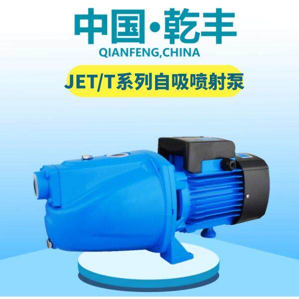 干丰JET/T自吸喷射泵国标大流量高扬程泵抽水机家用大头泵高压