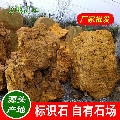心动不如行动 校园文化石友集结 大型黄蜡石寻找属于你的未来之友