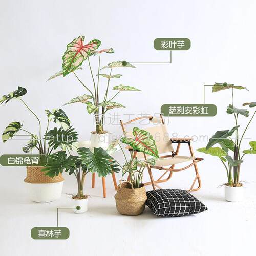 仿生植物盆栽彩叶芋北欧INS客厅装饰绿植仿真植物龟背竹喜林芋