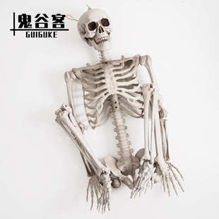 万圣节骷髅骨架仿真热销塑鬼屋密室道具165cm人体骨架装 饰