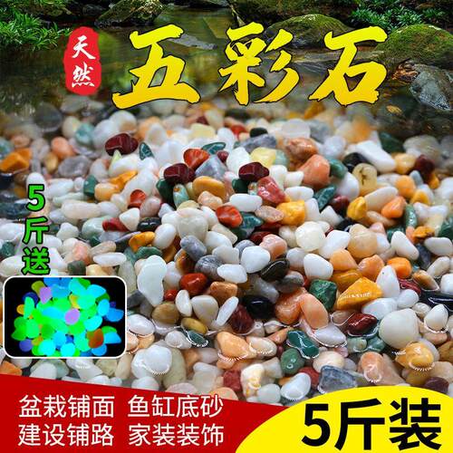 雨花石小石头石子五花石原石装饰