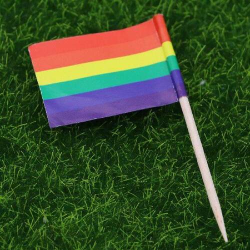 Flag Toothpicks Toothpick Flag Sticks Picks Stick Mini
