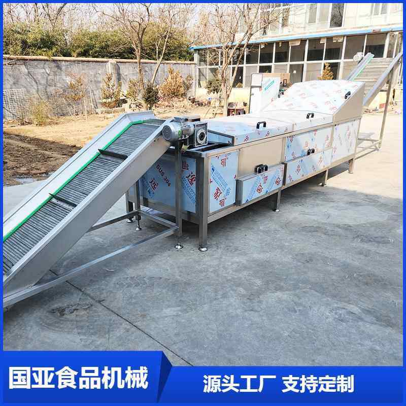 果蔬蒸煮漂烫机 芒果漂烫机 茼蒿杀青护色机 豆角漂烫冷却流水线