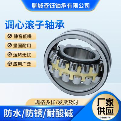 调心滚子轴承23220 23222 23220 23226 23228 23230 23244CA/W33