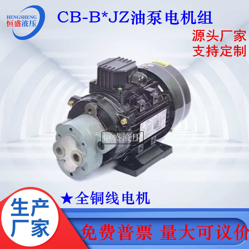 齿轮抽油泵电机总成CB-B4JZ 10 32 63 80 125JZ润滑泵电机组装置