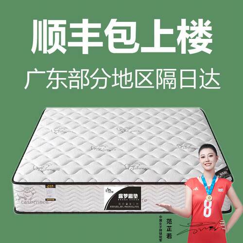 席梦思床垫十大名牌软硬两用20CM经济型乳胶海椰棕马弹簧家用租房