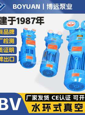 博远泵业2BV水环真空泵工业抽气泵33mba高真空机械密封耐腐真空泵