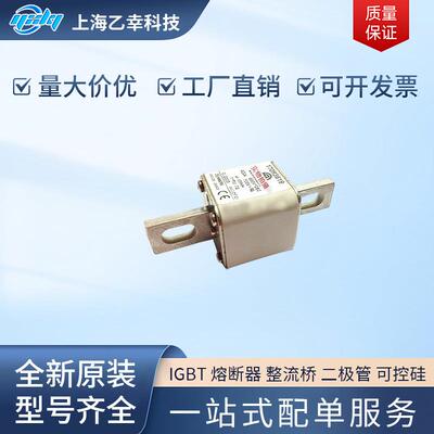 巴斯曼熔断器 170M3907 170M3908 170M3909 170M3910 170M3921