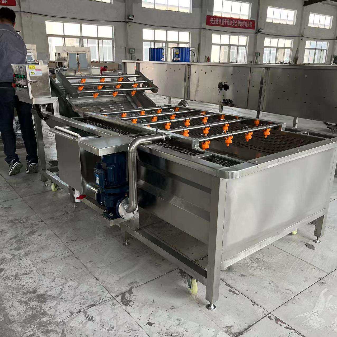 全自动樱桃鼓泡清洗机商用胡萝卜去泥清洗机新型气泡清洗设备