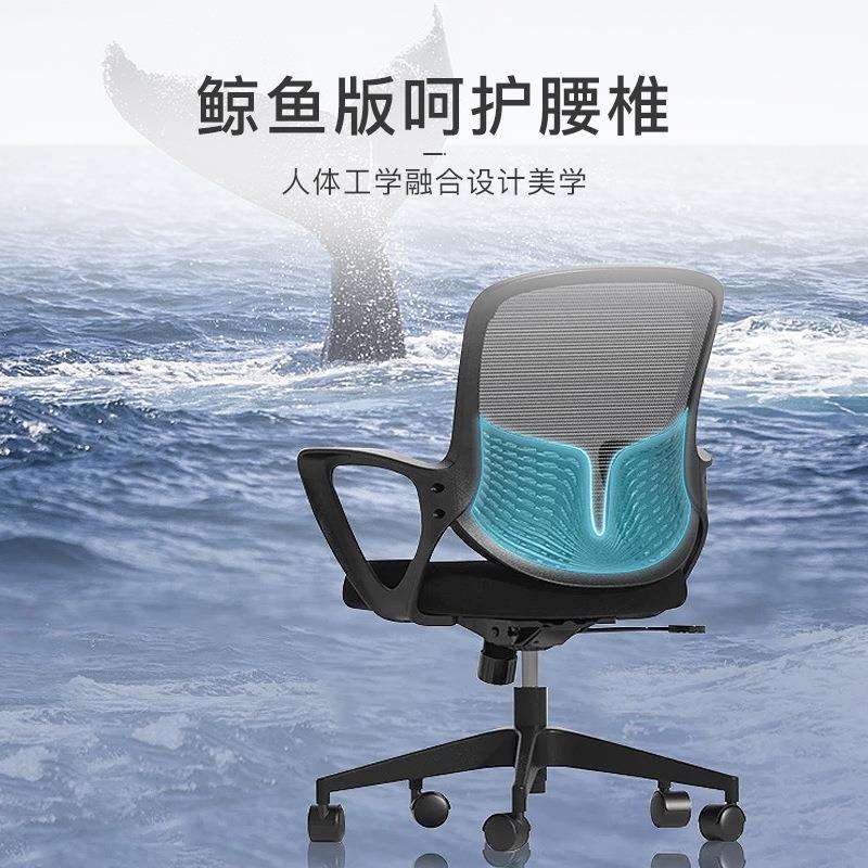 工学椅护腰办公椅可升降防爆人体工学转椅舒适电脑椅