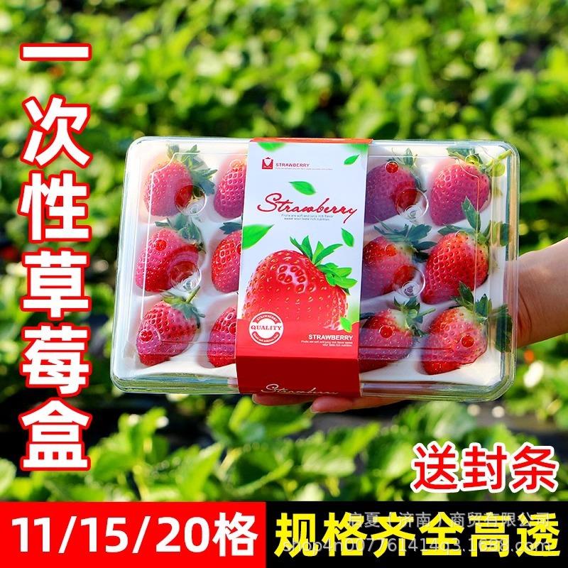 一次性草莓盒子透明泡沫内托草莓专用包装盒塑料15粒网红盒礼盒