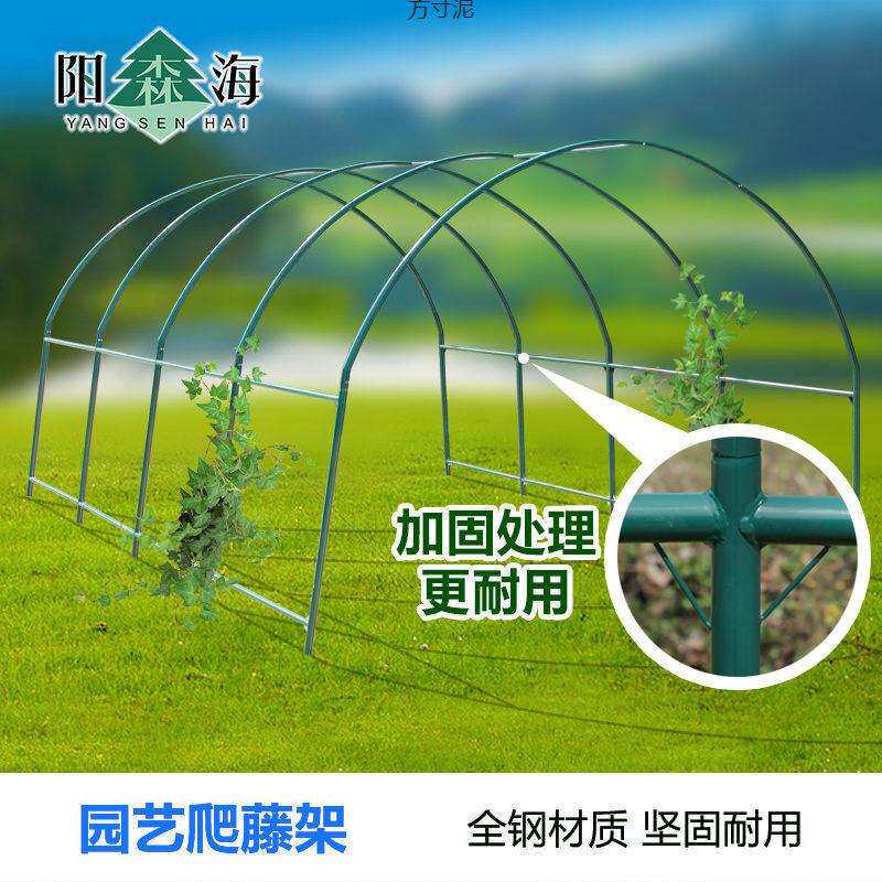 植物萄爬藤架暖房钢果管花架葡架大棚骨支厂家直供架百香架庭院园