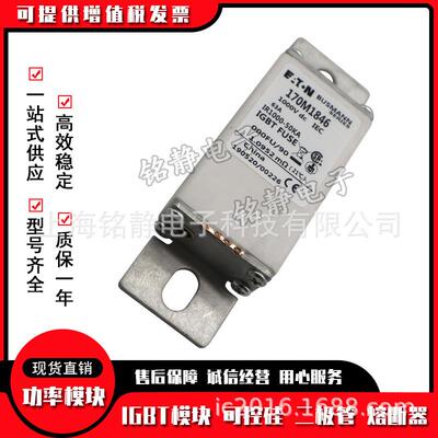 170M1735 170M1736 170M1737 170M1738 170M1739巴斯曼熔断器现货