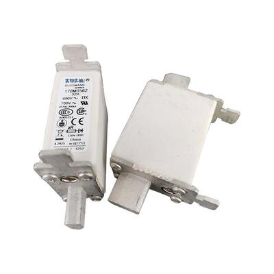 170M2609 170M2610 170M2611型号齐全标准封装现货低压快速熔断器