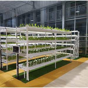 水培家庭大棚机定制建设床温室订做水耕智能设备种菜无土栽培水