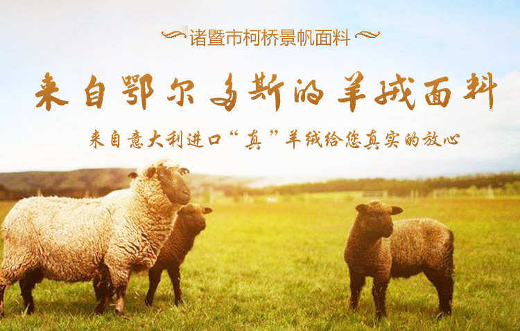 товар из китая 现货850g人字呢面料布料小人字呢双面羊双面顺毛人字纹毛呢布