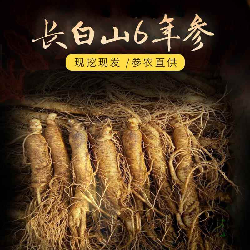现挖长白山新鲜人参 园参 鲜人参15支250克500克煲汤泡酒产地直销