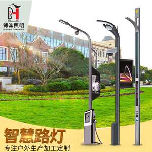 城市智慧照明 智慧路灯 充电桩灯杆 物联网 LED监控智能 非标制作