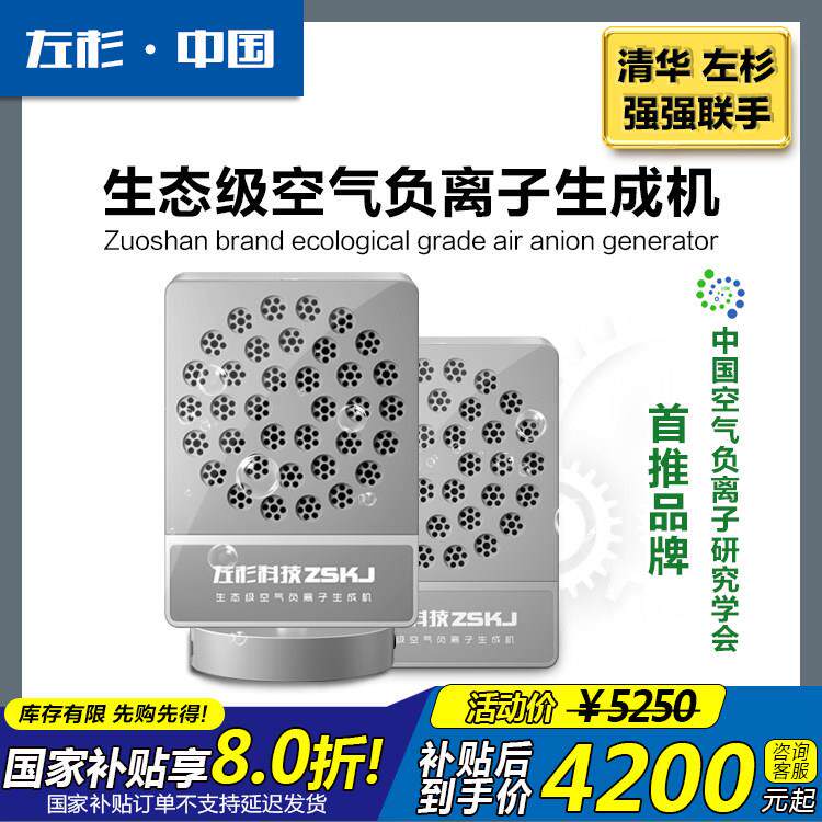 左杉 负氧离子产生器负离子机空气净化器家用