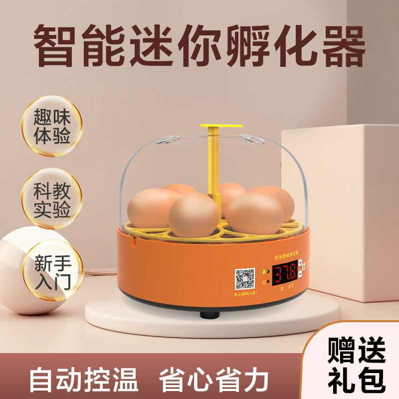 实验孵蛋器小鸡孵化器小型家用全自动鸡蛋孵化箱儿童智能孵化机