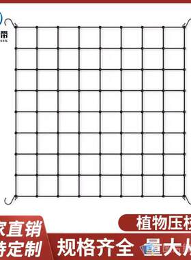 厂家直供优质高拉伸比植物网帐篷弹力压枝网瓜果花卉生长爬藤网