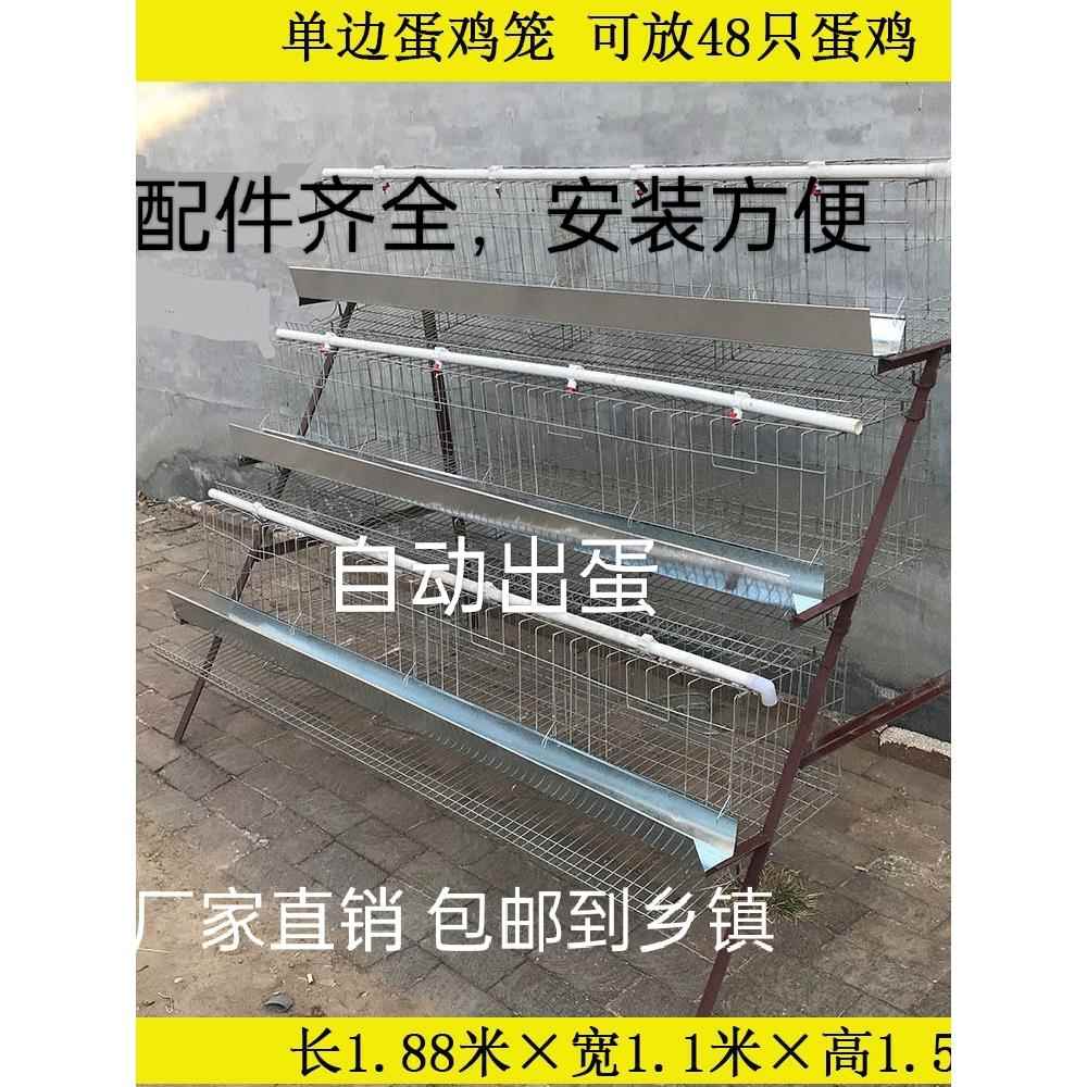 家用蛋鸡笼阳台蛋鸡笼自动产蛋蛋鸡笼小型养殖家用蛋鸡盘蛋形折叠