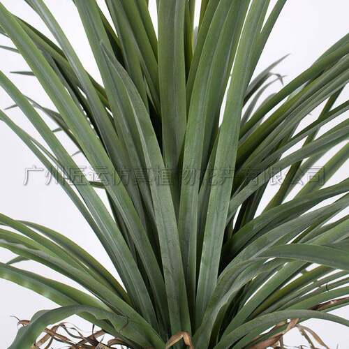 仿真植物龙舌兰假绿植盆栽大型室内客厅软装轻奢装饰家居落地摆件
