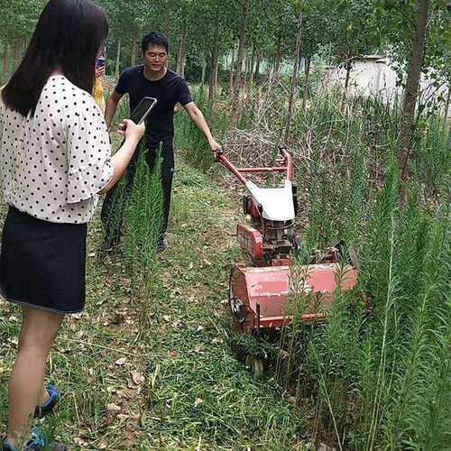 柴油汽油小型碎草机手推式自走割草机农用果园碎草还田机