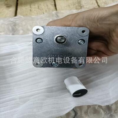 德国ROTEK电机，ROTEK直齿轮电机