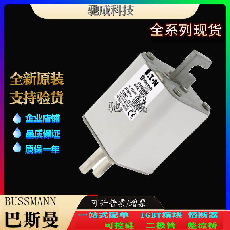 巴斯曼170M5982 170M5983 170M5984 厂家直供零售 快熔保险丝