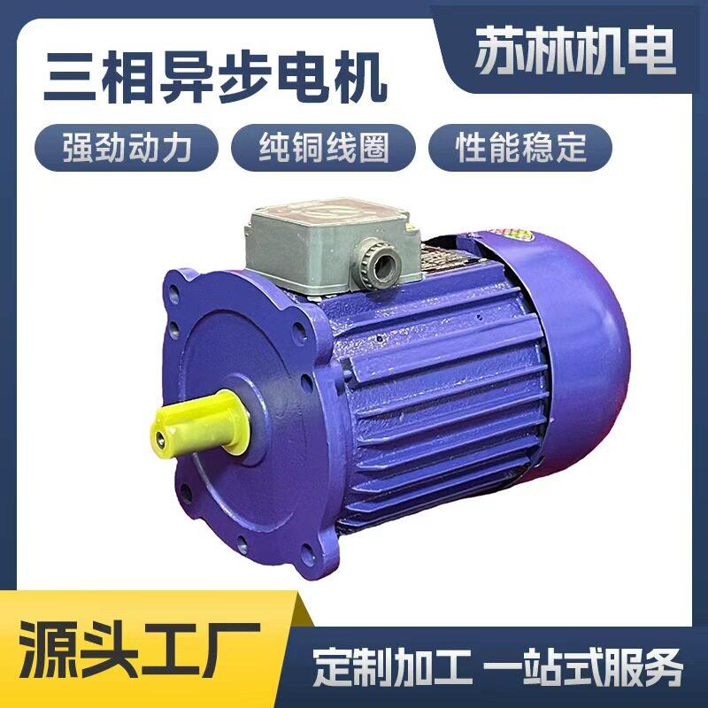 鼎益YS8024三相电机热收缩机烘箱磨浆机长轴循环风机750W长轴电机图片