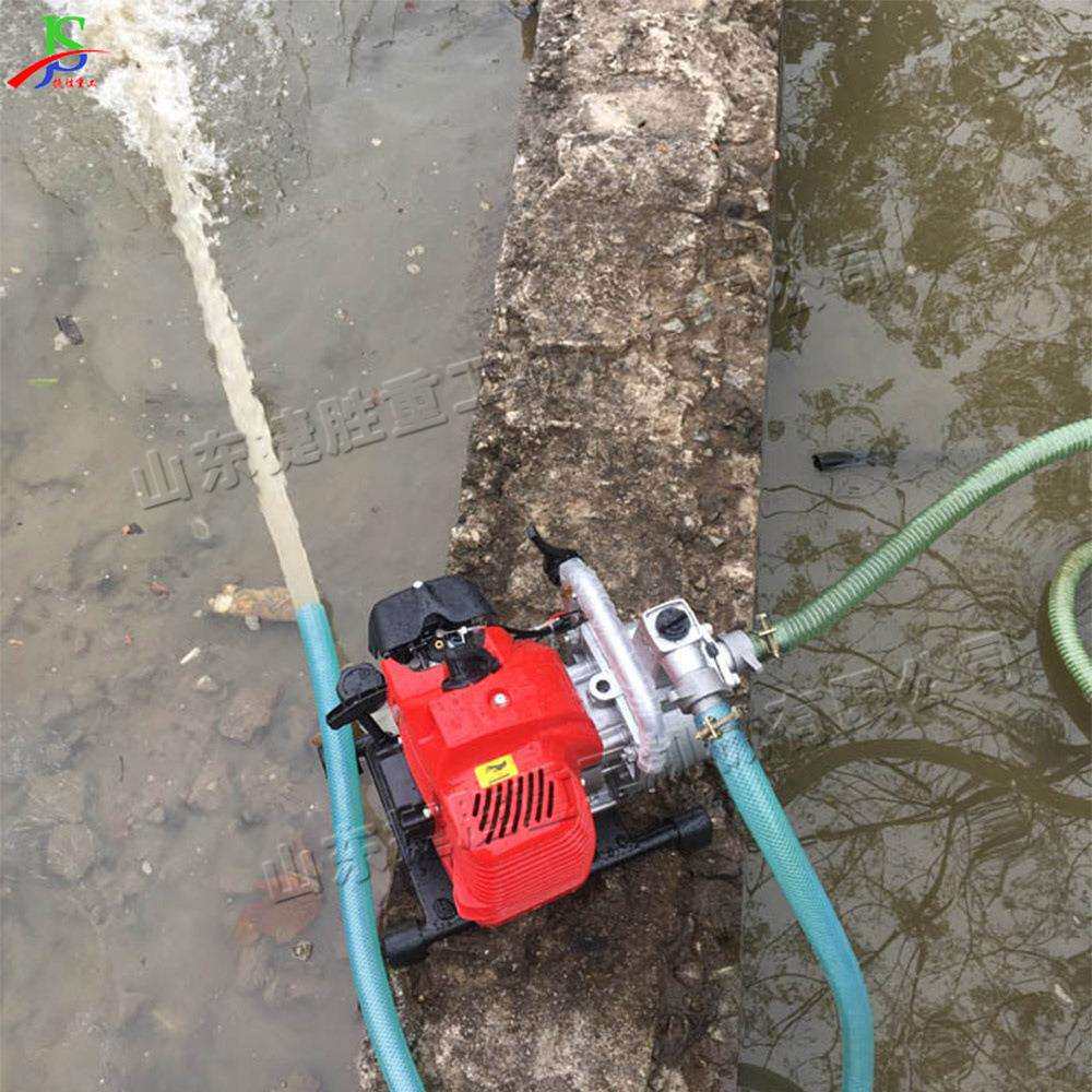 二冲程汽油机水泵 农用菜地园林灌溉抽水泵 小型防汛自吸抽水机