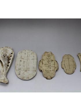 .硬树脂甲骨文仿真小摆件龟甲兽骨古文字化石儿童认知早教玩具模.