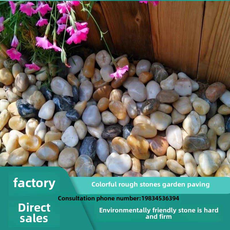 浙江彩色鹅卵石园林绿化玉花石原石鹅卵石庭院白鹅卵石园林石材园