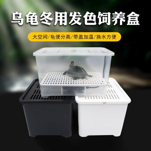 小乌龟大号发色盒幼龟孵化饲养盒蛋龟加温黑白隔离龟苗盒子带沉淀