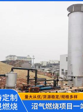 2019新款气液分离器气水分离器沼气分离器机械设备