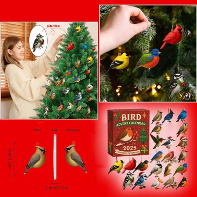 24 Days Christmas Bird Advent Calendar Countdown Calendar
