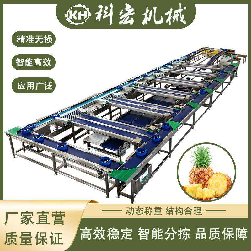 机械无损式分选机菠萝西瓜哈密瓜无损式分选芒果桃子重量分级