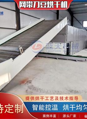 刀豆子烘干设备大弋豆大刀豆挟剑豆分层干燥机网带式刀豆烘干机