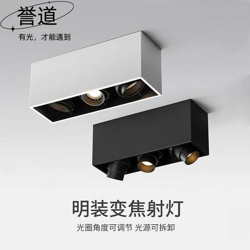 誉道三头射灯led斗胆灯天花灯明装客厅长方形牛眼灯格栅灯可调角