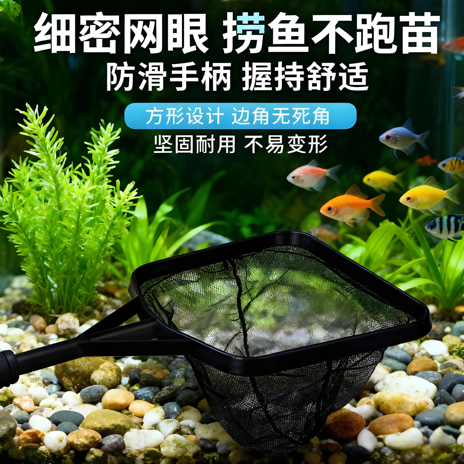 水族箱观赏鱼其它水族用具设备