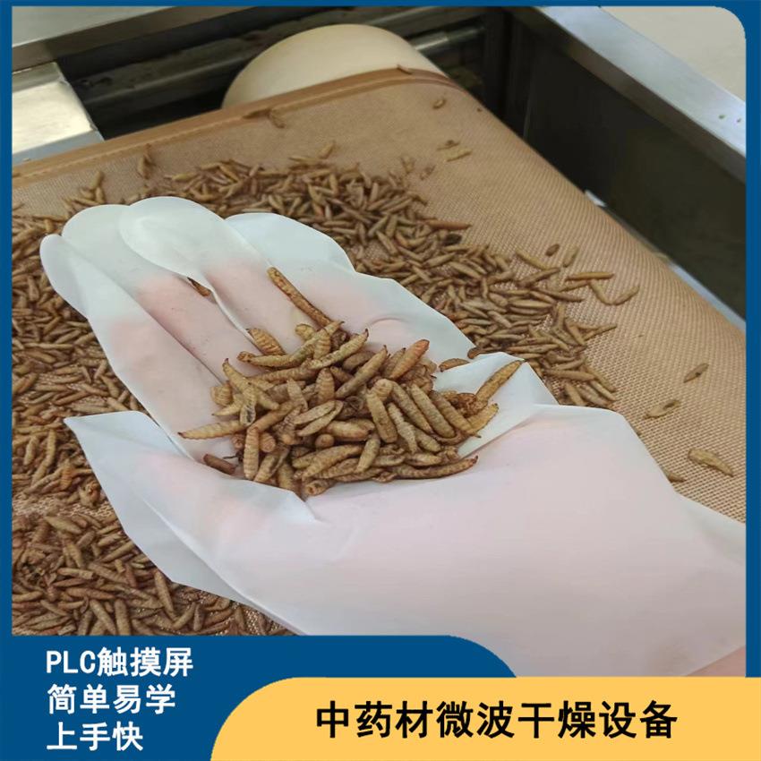 黑虻干虫燥膨胀隧道炉 动水式各种子微波烘传LM-50KW-干设备